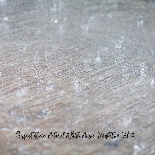 Perfect Rain Natural White Noise Meditation Vol. 2 - White Noise