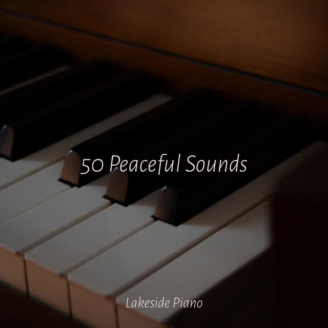 50 Peaceful Sounds - SD
