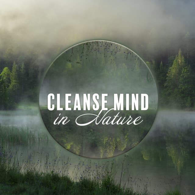 Cleanse Mind in Nature: Soothing Nature Music Ambience - Kings of Nature
