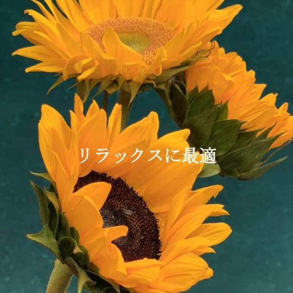 Work from Home Groove