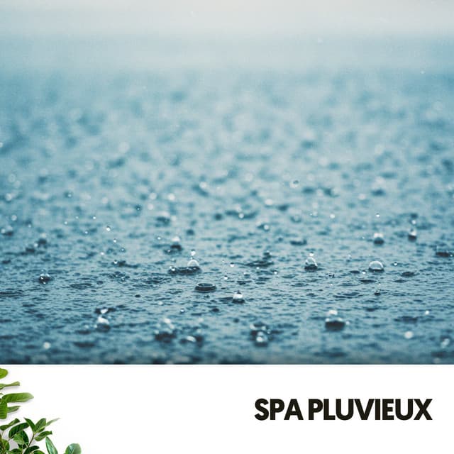 Spa Pluvieux: Berceuses Apaisantes Naturelles - Dog Relaxation