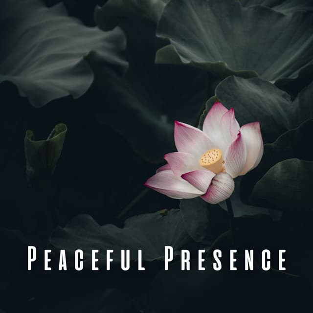 Peaceful Presence: Binaural Music for Meditation and Healing - Meditate in Bliss