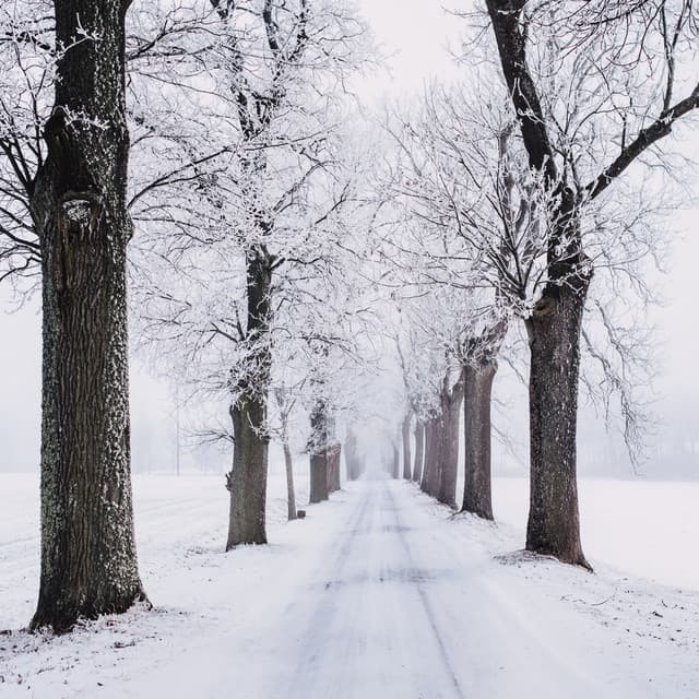 Copyright Free Lofi Beats for Streamers, Vol. 2 - Copyright Free Lofi