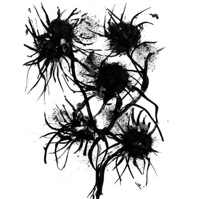 Improperis - Pascal Comelade