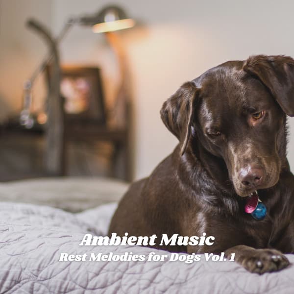 Ambient Music: Rest Melodies for Dogs Vol. 1 - Soft Music