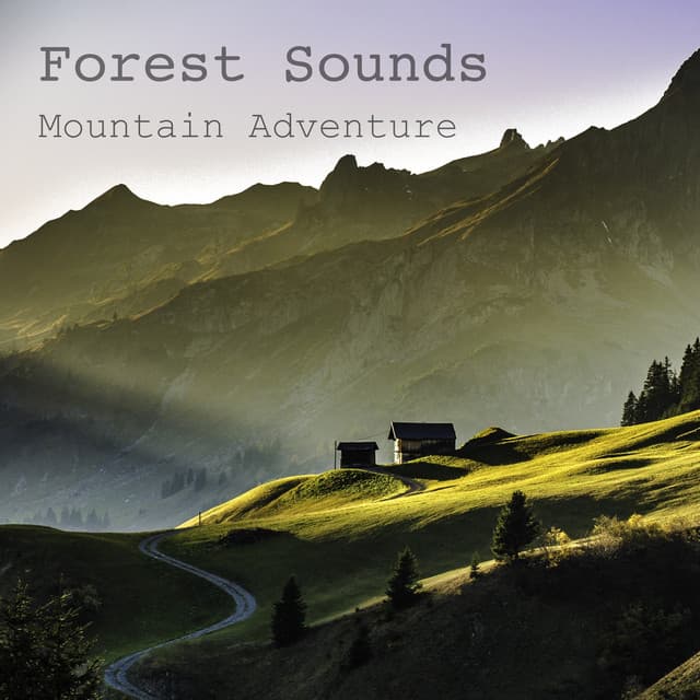 Mountain Adventure - Forest Sounds