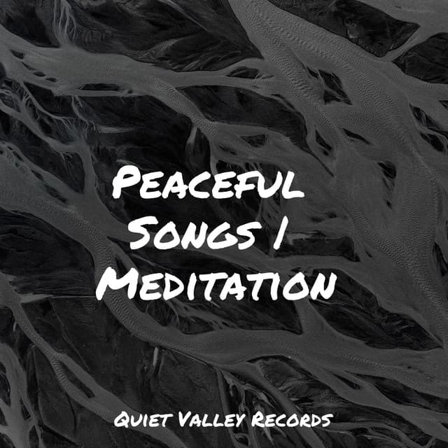 Peaceful Songs | Meditation - Pro Sound Effects Library