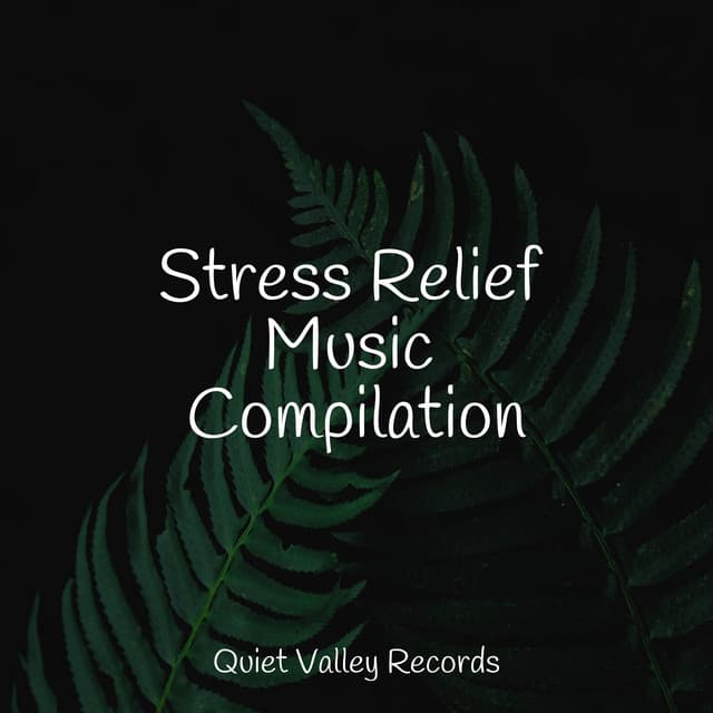 Stress Relief Music Compilation - Ambient Music Therpy