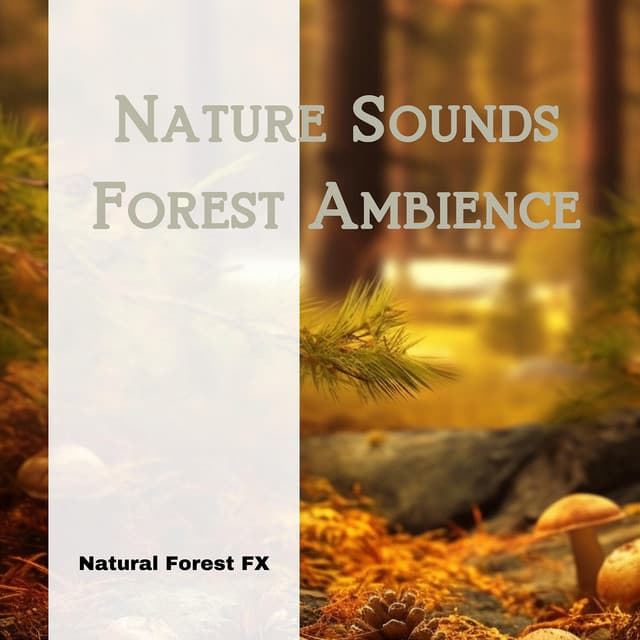 Nature Sounds: Forest Ambience - Natural Forest FX