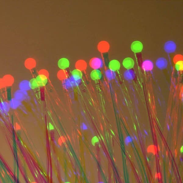 Feelings for Slow Times - Chill Lounge Vibes