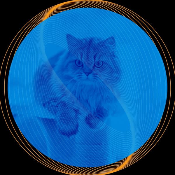 Ambiance for Friendly Cats - Cat Total Relax