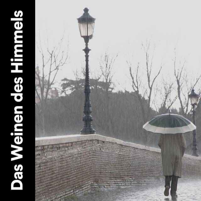 Das Weinen des Himmels - Regen zum Schlafen