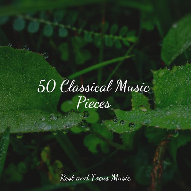 50 Classical Music Pieces - Deep Focus