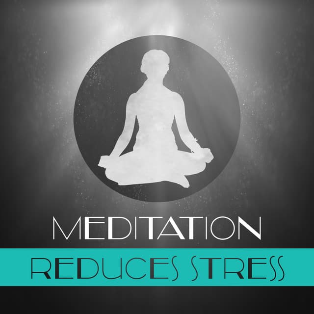 Meditation Reduces Stress – Yoga Training, Deep Concentration, Nature Sounds, Instrumental Music, Chakra Healing - Various Artists