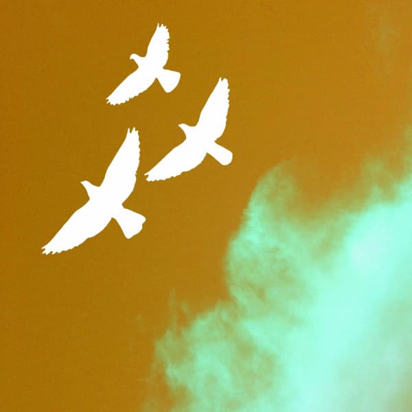 Jazz Organ and Bossa Guitar Trio - Music for Beach Blues - Mellow Jazz Instrumental