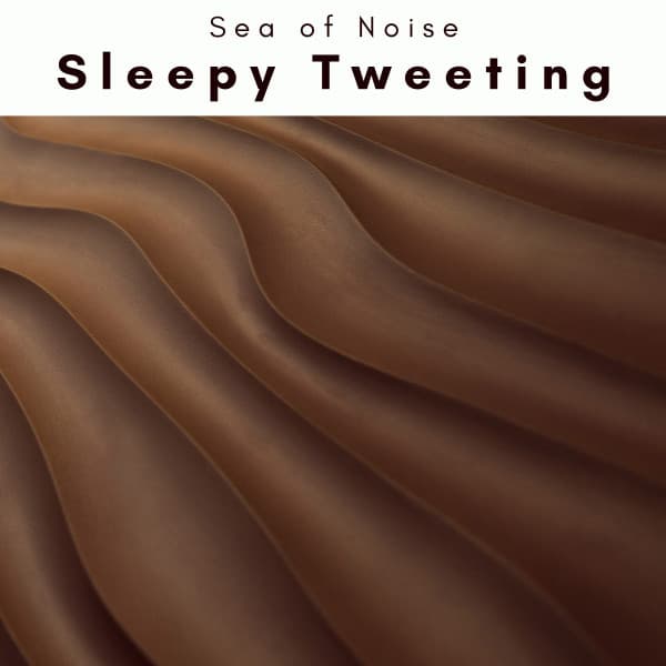 A Sleepy Tweeting - Sea of Noise