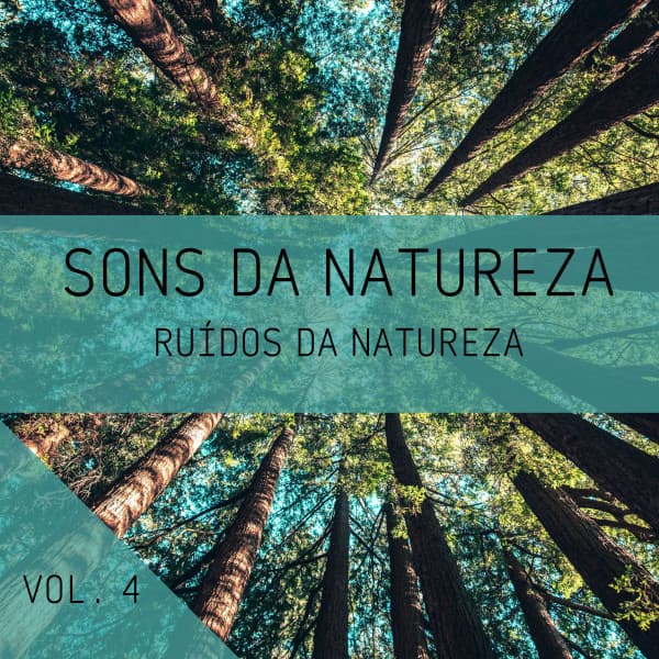 Sons Da Natureza Vol. 4, Ruídos Da Natureza - Música Relax para Bares