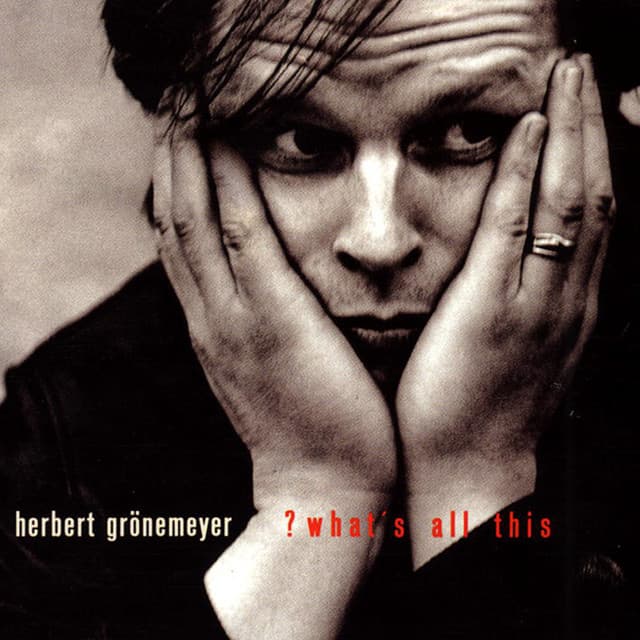 What's All This? - Herbert Grönemeyer