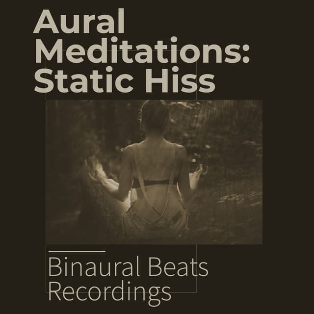Aural Meditations: Static Hiss - Binaural Beats Recordings