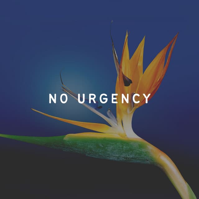 No Urgency - Plant Music