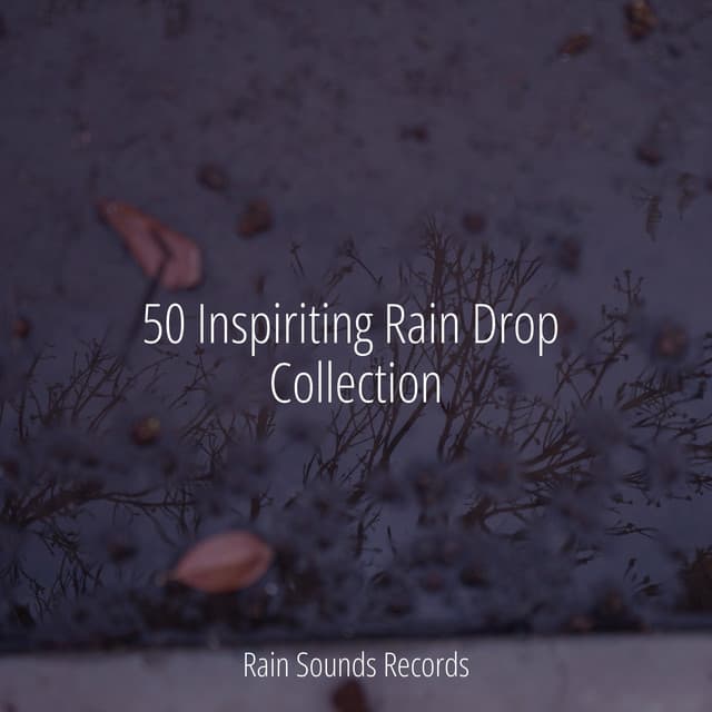 50 Inspiriting Rain Drop Collection - Nature Sounds Nature Music