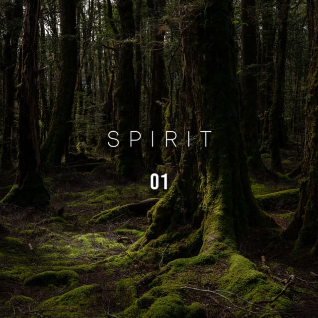 Spirit 01 - Rain Recordings