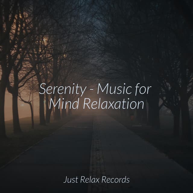 Serenity - Music for Mind Relaxation - Brain Study Music Guys