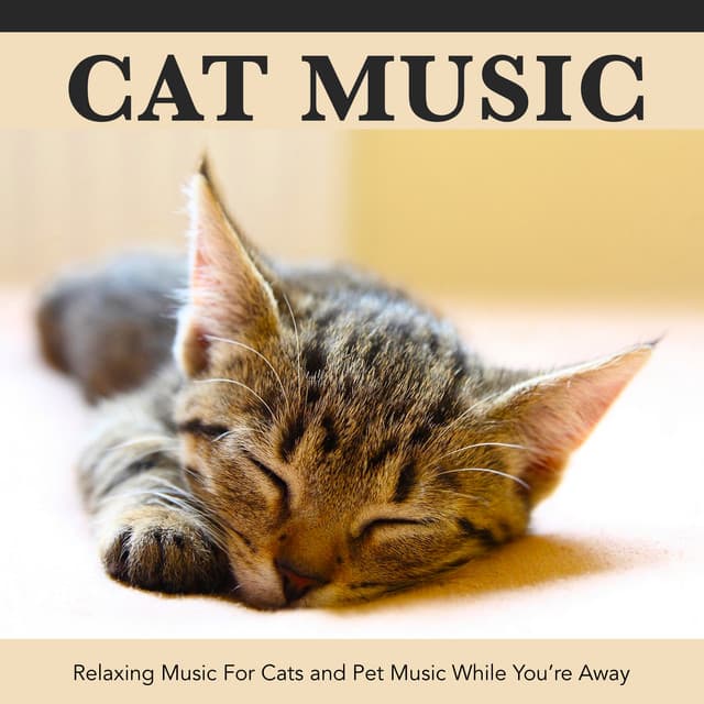 Cat Music: Relaxing Music For Cats and Pet Music While You’re Away - Cat Music