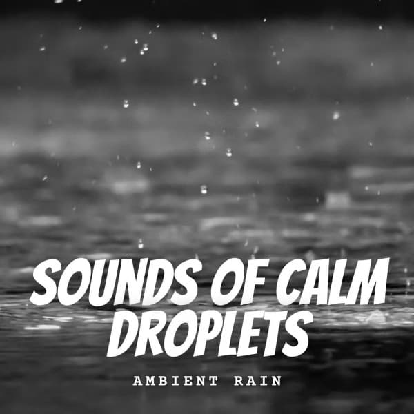 Ambient Rain: Sounds of Calm Droplets - Moods & Water sounds
