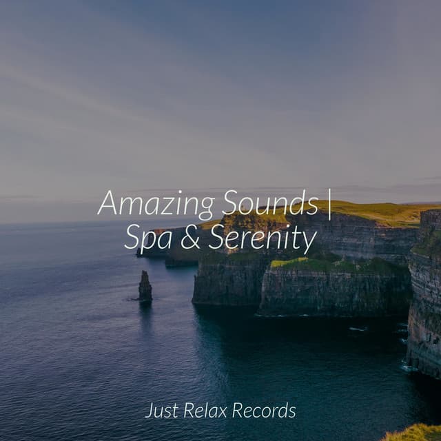 Amazing Sounds | Spa & Serenity - Musica Romantica Ensemble