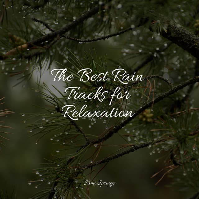 The Best Rain Tracks for Relaxation - Ambient Rain