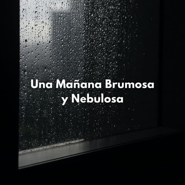 Una Mañana Brumosa Y Nebulosa - Llovido