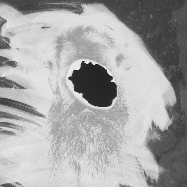 Piano Mating - Mats Gustafsson