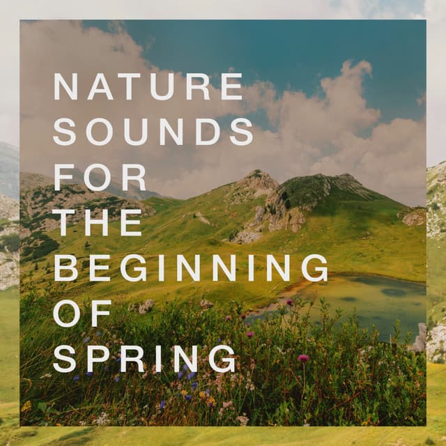 Nature Sounds for the Beginning of Spring - Nature Sounds