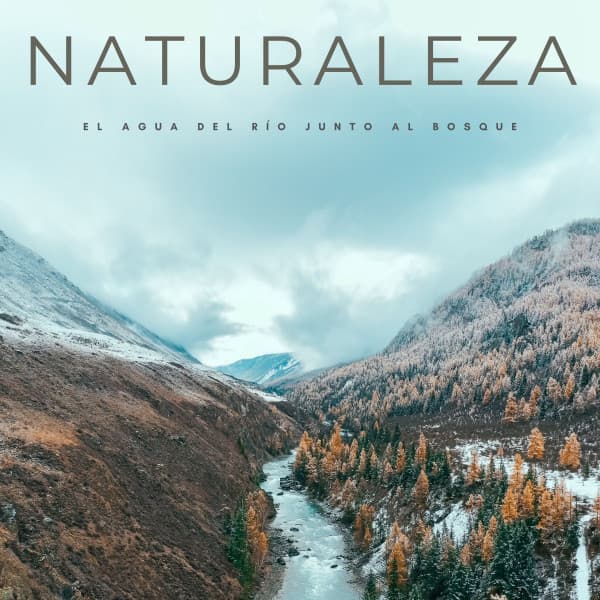 Naturaleza: El Agua Del Río Junto Al Bosque - Ruidos de la Selva