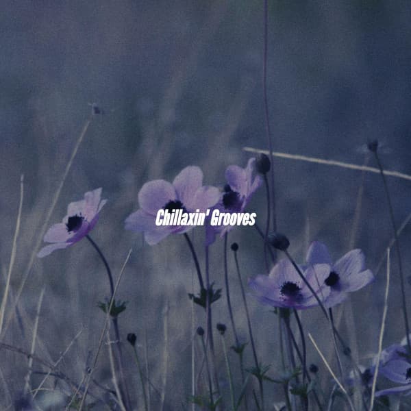 Chillaxin' Grooves - Instrumental Jazz Musica Ambiental