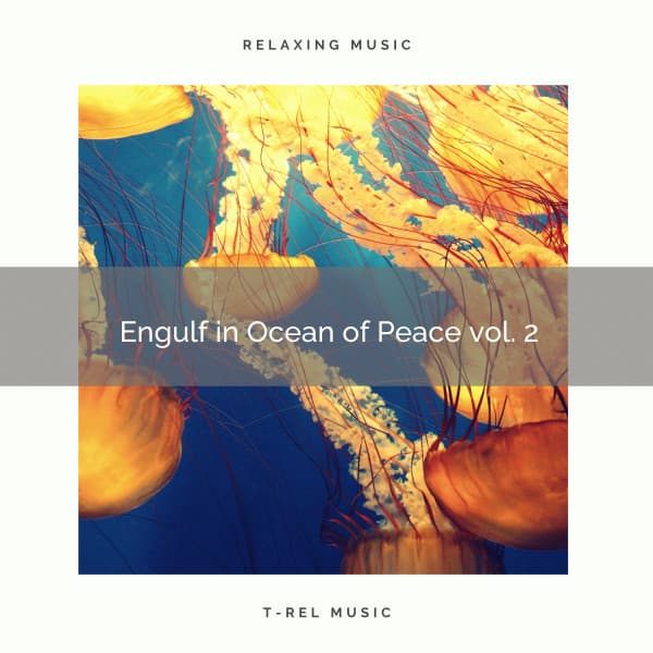 ! ! ! ! ! ! Engulf in Ocean of Peace vol. 2 - Seashore Waves