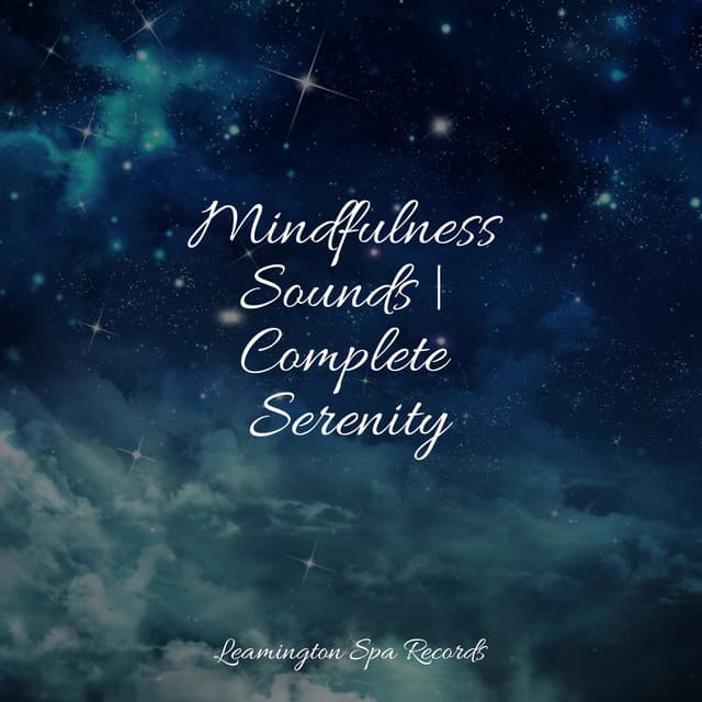 Mindfulness Sounds | Complete Serenity - Forest Soundscapes