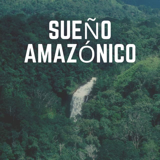 Sueño Amazónico - Sonidos de la Naturaleza para Dormir