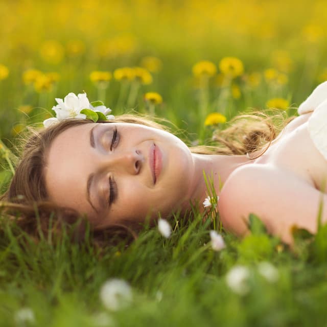 Sculpted Serenity: Nature's Symphony of Harmonious Beauty - The Water Sleepers