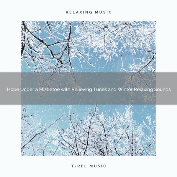 Hope Under a Mistletoe with Relieving Tunes and Winter Relaxing Sounds - Christmas White Noise