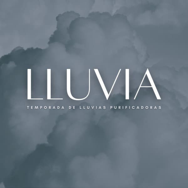 Lluvia: Temporada De Lluvias Purificadoras - Cafeteria Musica de lujo