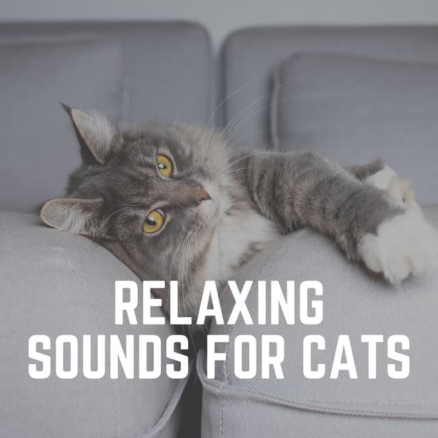 Relaxing Sounds for Cats - Music for Cats Peace