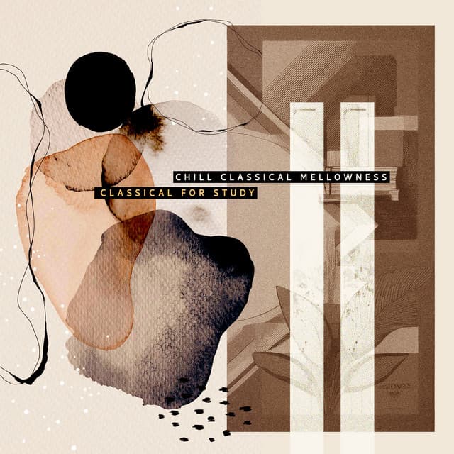 Chill Classical Mellowness - Classical For Study