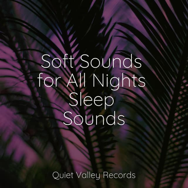 Soft Sounds for All Nights Sleep Sounds - Sampling XL