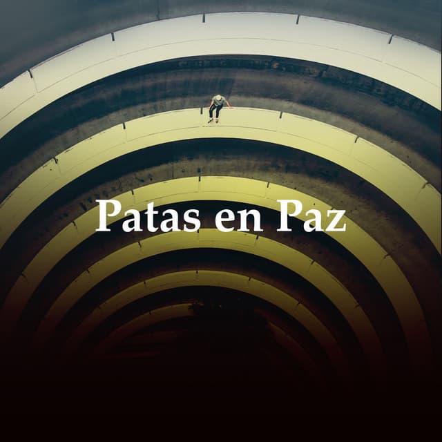 Patas en Paz - Música para dormir Gatos