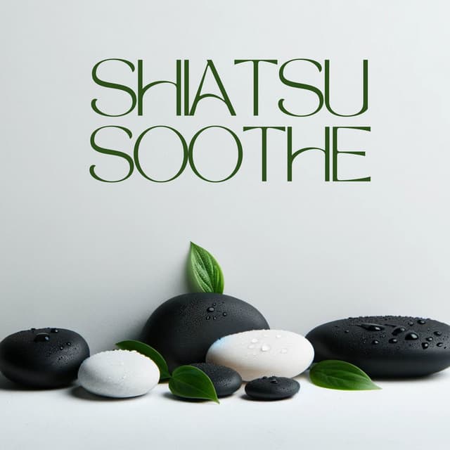 Shiatsu Soothe - Anandani