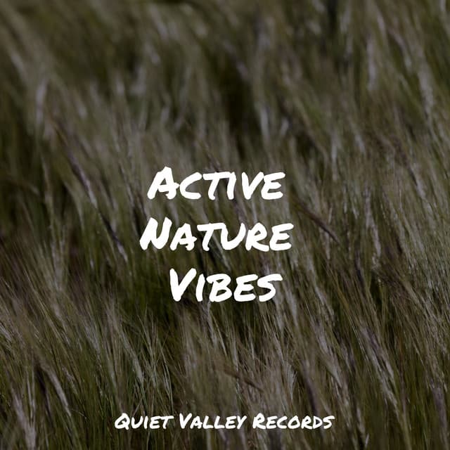 Active Nature Vibes - Rain Sounds Rain