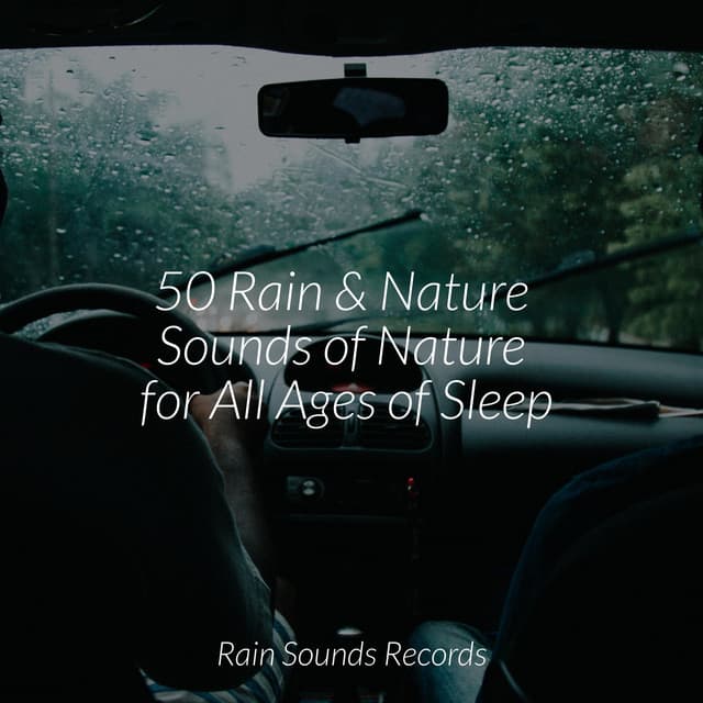 50 Rain & Nature Sounds of Nature for All Ages of Sleep - Meeresrauschen