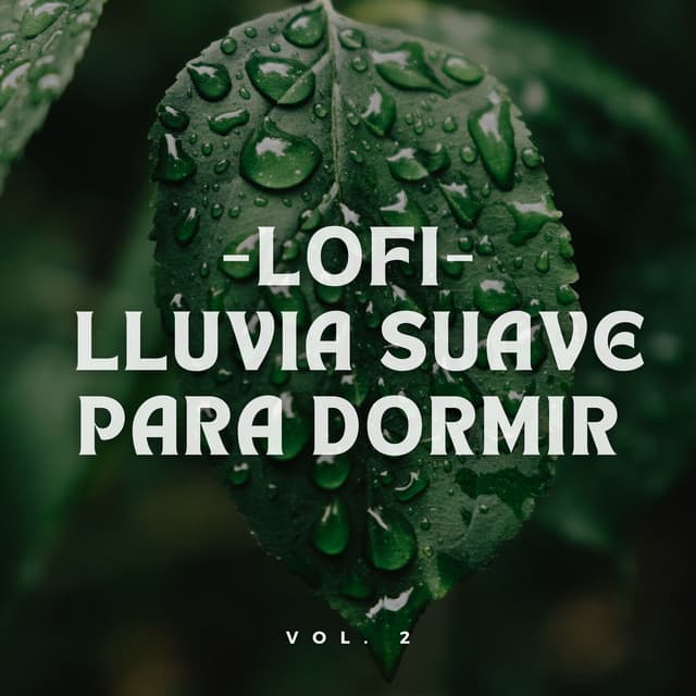 Lofi: Lluvia Suave para Dormir Vol. 2 - Sueños tormentosos (lluvia)